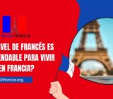 ¿Qué nivel de francés es recomendable para vivir en Francia?